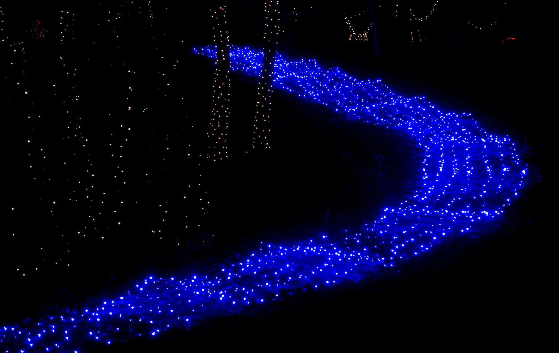 Way of Lights holiday light display at the National Shrine of Our Lady of the Snows
